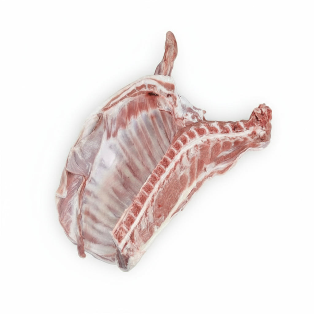 Front Quarter Romanian Lamb