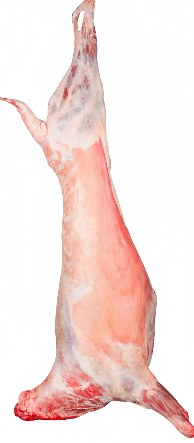 Fresh Whole Romanian Lamb (Price per KG)